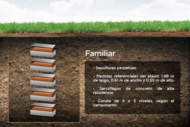 asesoría personalizada | precios económicos | cómodos