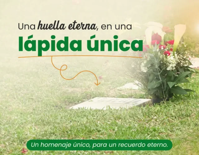image (1)